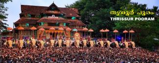 thrissur-pooram-image