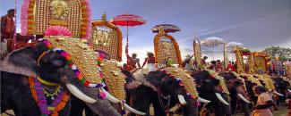 parippally-gajamela-image