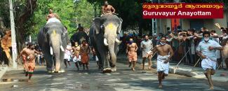guruvayur-anayottam-image