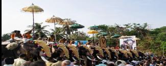 chandana-bhagavathy-temple-chandanakavu-vela-image