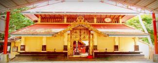 ameda-temple-arattu-utsavam-image