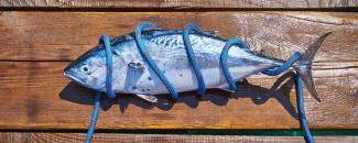 world-tuna-day-image