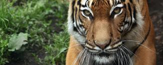 international-day-for-biological-diversity-image