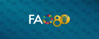 world-food-day-image