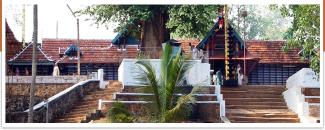 thirumandhamkunnu-bhagavathi-temple-pooram-image