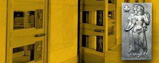 international-day-of-human-fraternity-image