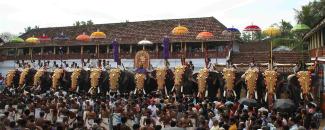 thripunithura-sree-poornathrayeesa-temple-festival-image
