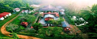 valliyanikkattu-bhagavathy-temple-meenapoora-mahotsavam-image