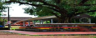 madayikavu-thiruvakadu-bhagavathi-temple-pooram-image