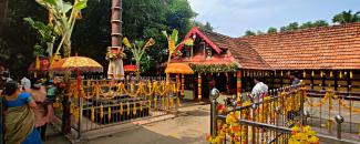 thiruvilanjal-devi-temple-karuvatta-thiru-ulsavam-image