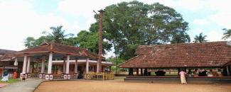 kaduthuruthy-thaliyil-shri-mahadeva-temple-utsavam-image