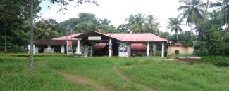 kalliassery-sree-manakulangara-bhagavathy-temple-mahotsavam-image