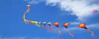 malabar-international-kite-festival-image