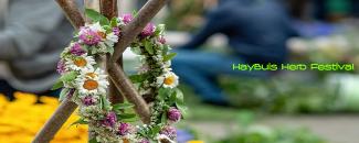 haybuis-armenian-herb-festival-image