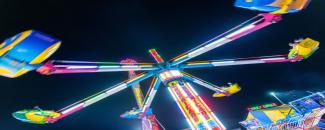 darwin-show-day-image