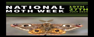 national-moth-week-image