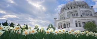 national-bahai-day-image