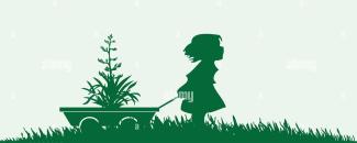 take-your-houseplant-for-a-walk-day-image