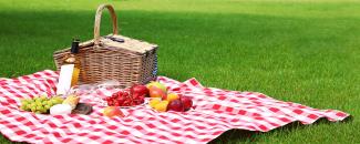 national-picnic-month-image
