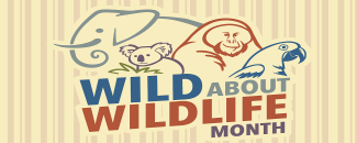 wild-about-wildlife-month-image