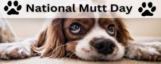 national-mutt-day-image