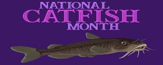 national-catfish-month-image