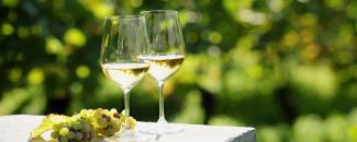 national-white-wine-day-image