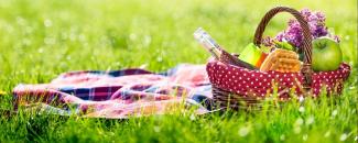 picnic-day-nt-image