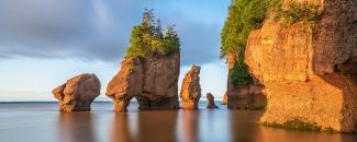 new-brunswick-day-image