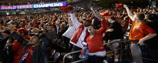 baseball-fans-day-image