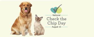 national-check-the-chip-day-image