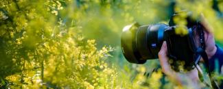 world-photography-day-image