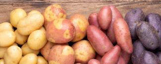 national-potato-day-image