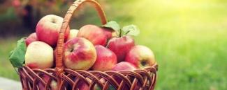 savior-of-the-apple-feast-day-image