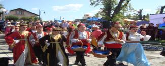 international-plum-fair-image