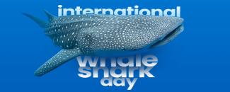 international-whale-shark-day-image