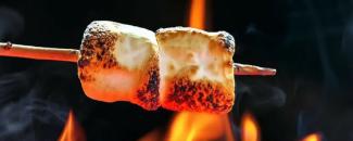 national-toasted-marshmallow-day-image
