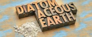 national-diatomaceous-earth-day-image