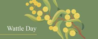 wattle-day-image