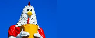 national-chicken-boy-day-image