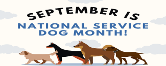 national-guide-dog-month-image